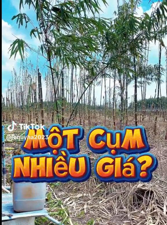 Topic Image